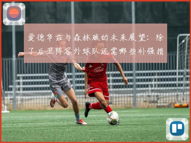 爱德华兹与森林狼的未来展望：除了后卫阵容外球队还需哪些补强措施