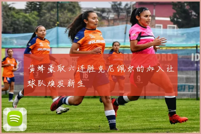 黄蜂豪取六连胜克尼佩尔的加入让球队焕发新生