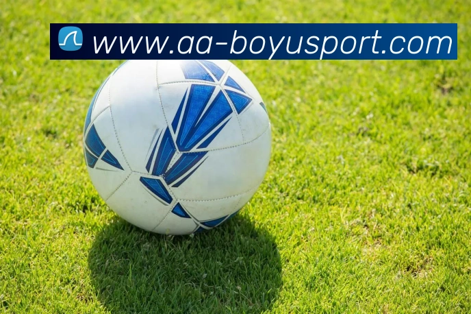 博鱼足球APP 封面图