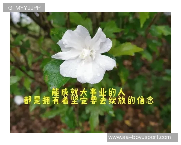 坚持信念不因短暂失误影响全局表现