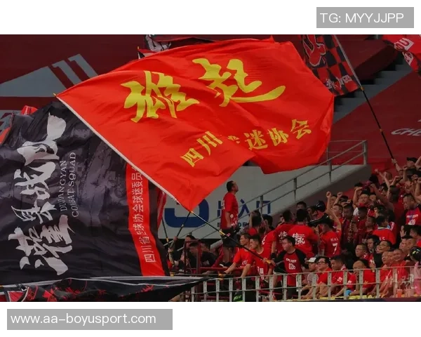 蓉城球员身价动态分析：11人上涨韦世豪周定洋等14人下跌情况解析